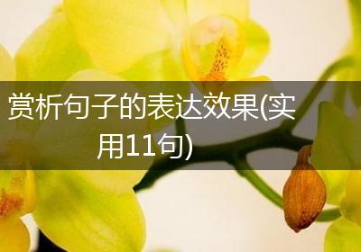 赏析句子的表达效果(实用11句)