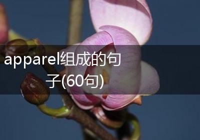 apparel组成的句子(60句)