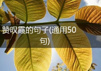 赞叹霞的句子(通用50句)