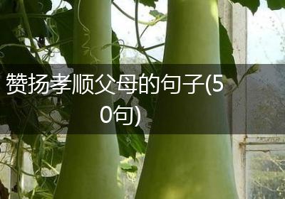 赞扬孝顺父母的句子(50句)