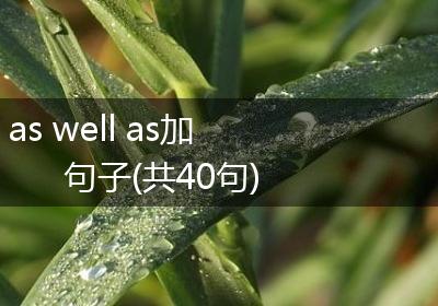 as well as加句子(共40句)