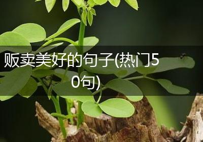 贩卖美好的句子(热门50句)