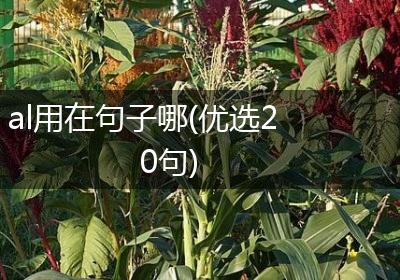 al用在句子哪(优选20句)