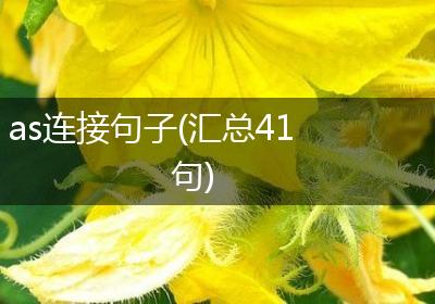 as连接句子(汇总41句)