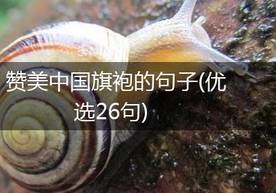 赞美中国旗袍的句子(优选26句)