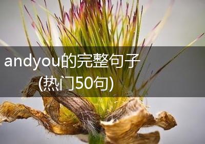 andyou的完整句子(热门50句)