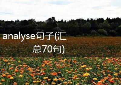 analyse句子(汇总70句)