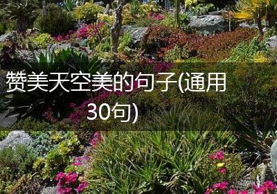赞美天空美的句子(通用30句)