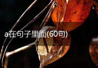 a在句子里面(60句)