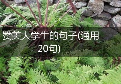 赞美大学生的句子(通用20句)