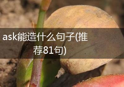 ask能造什么句子(推荐81句)