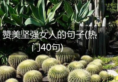 赞美坚强女人的句子(热门40句)