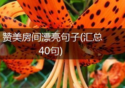 赞美房间漂亮句子(汇总40句)