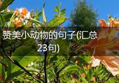 赞美小动物的句子(汇总23句)