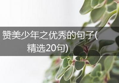 赞美少年之优秀的句子(精选20句)