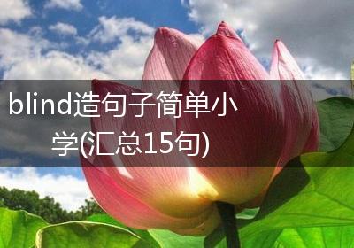 blind造句子简单小学(汇总15句)