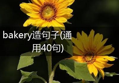 bakery造句子(通用40句)