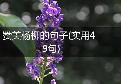 赞美杨柳的句子(实用49句)