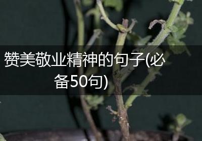 赞美敬业精神的句子(必备50句)
