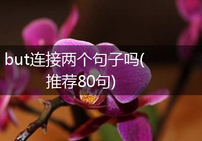 but连接两个句子吗(推荐80句)