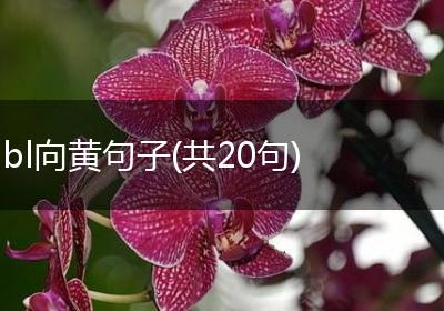 bl向黄句子(共20句)