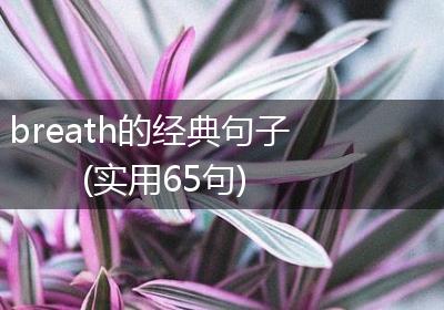 breath的经典句子(实用65句)
