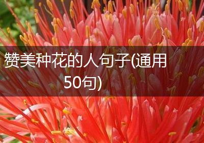 赞美种花的人句子(通用50句)