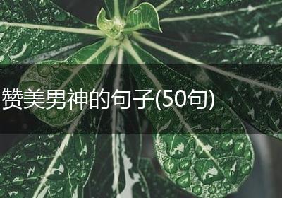 赞美男神的句子(50句)