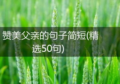 赞美父亲的句子简短(精选50句)