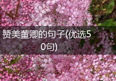 赞美董卿的句子(优选50句)