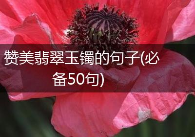 赞美翡翠玉镯的句子(必备50句)
