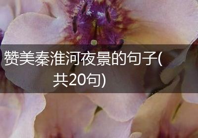 赞美秦淮河夜景的句子(共20句)