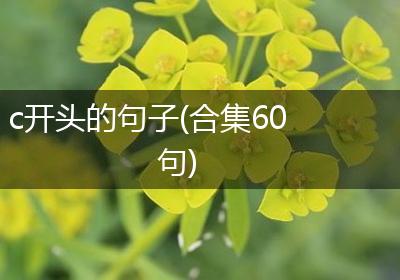 c开头的句子(合集60句)
