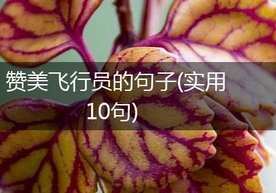 赞美飞行员的句子(实用10句)