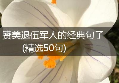 赞美退伍军人的经典句子(精选50句)
