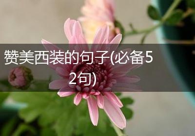 赞美西装的句子(必备52句)