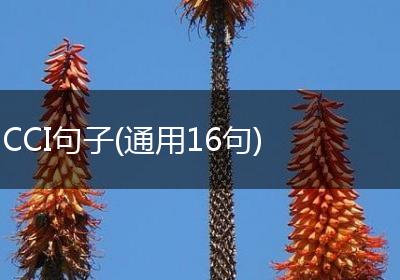 CCI句子(通用16句)