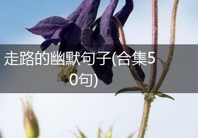 走路的幽默句子(合集50句)