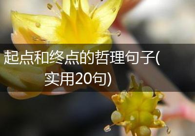 起点和终点的哲理句子(实用20句)