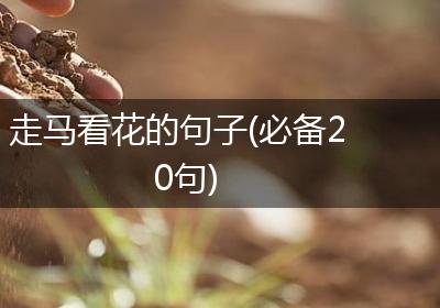 走马看花的句子(必备20句)