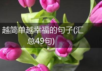 越简单越幸福的句子(汇总49句)