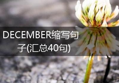DECEMBER缩写句子(汇总40句)