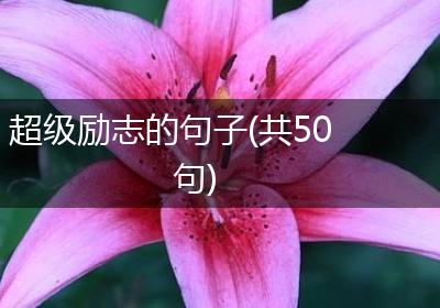 超级励志的句子(共50句)