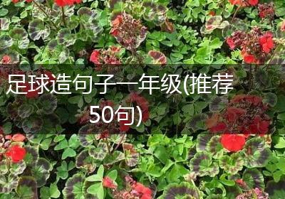 足球造句子一年级(推荐50句)