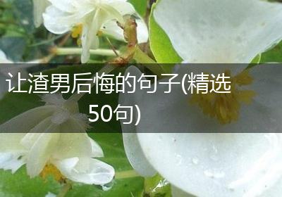 让渣男后悔的句子(精选50句)