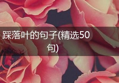 踩落叶的句子(精选50句)
