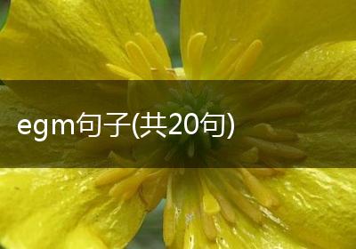 egm句子(共20句)