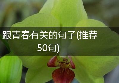 跟青春有关的句子(推荐50句)