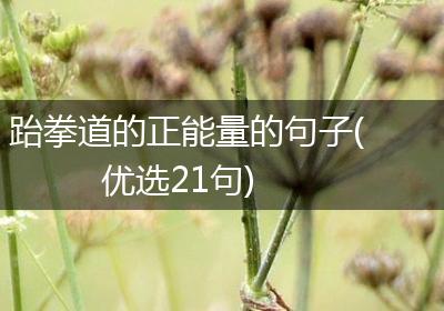 跆拳道的正能量的句子(优选21句)