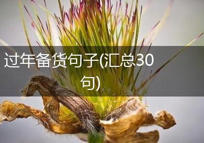 过年备货句子(汇总30句)